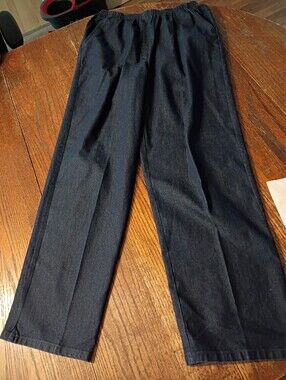 Size 10 Southern Lady Elastic Waist Pull On Casual Pants Denim Blue Jeans